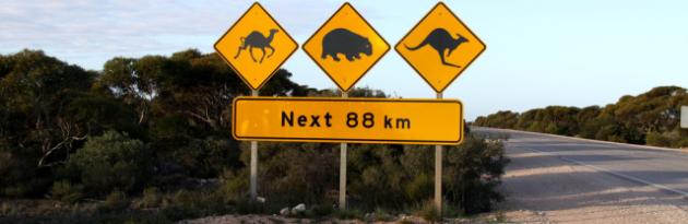 Tips For Driving In Australia - MyDriveHoliday